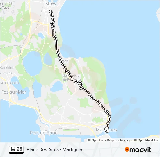 25 Bus Line Map