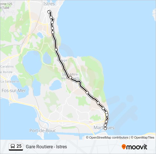 Mapa de 25 de autobús