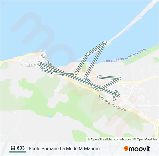 603 Bus Line Map