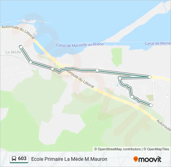 603 Bus Line Map