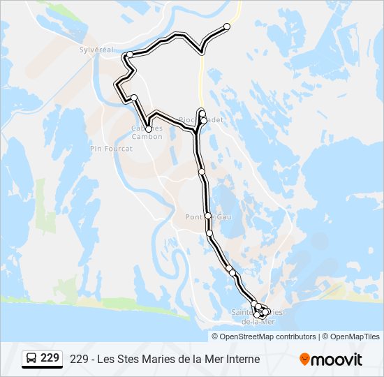 Mapa de 229 de autobús