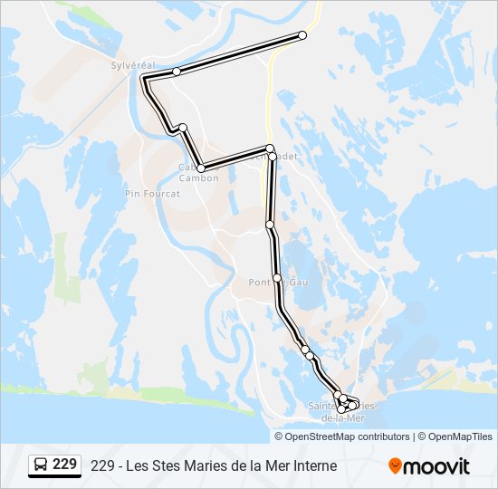 Mapa de 229 de autobús