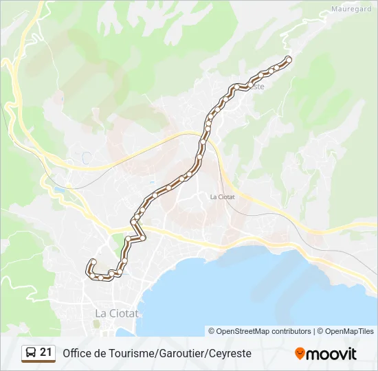 21 Bus Line Map