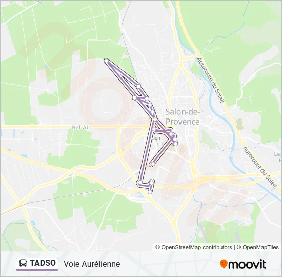 TADSO Bus Line Map