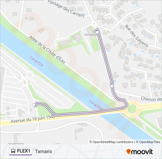 FLEX1 Bus Line Map