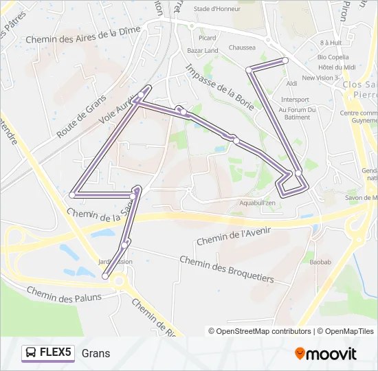 FLEX5 Bus Line Map