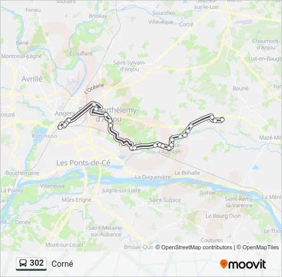 302 Bus Line Map