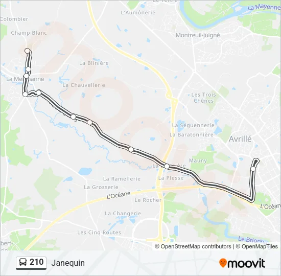 210 Bus Line Map