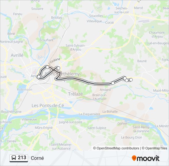 213 Bus Line Map