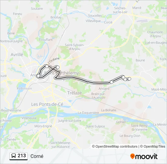 213 Bus Line Map