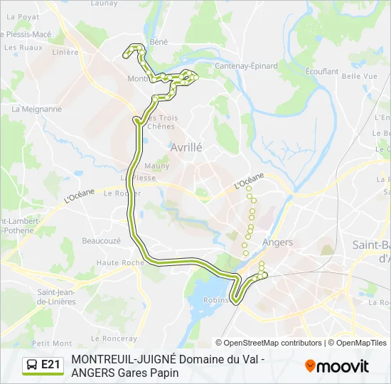 E21 Bus Line Map