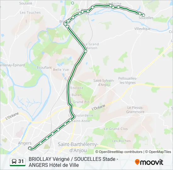 31 Bus Line Map