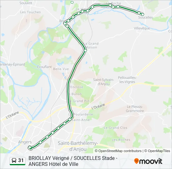 31 Bus Line Map