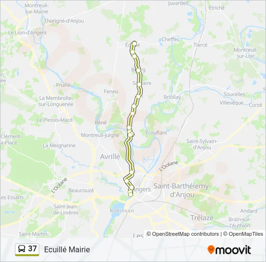 37 Bus Line Map