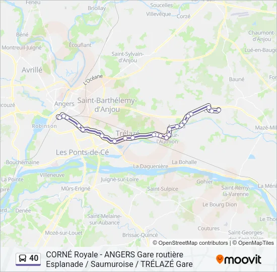 40 Bus Line Map