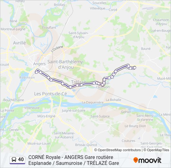 40 Bus Line Map