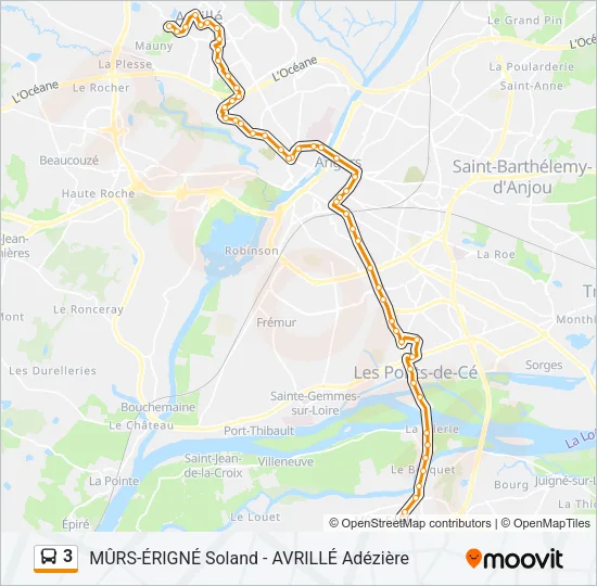 3 Bus Line Map