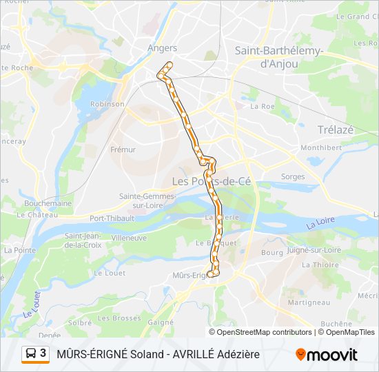 3 Bus Line Map