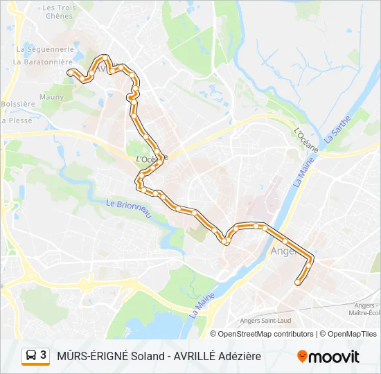 3 Bus Line Map