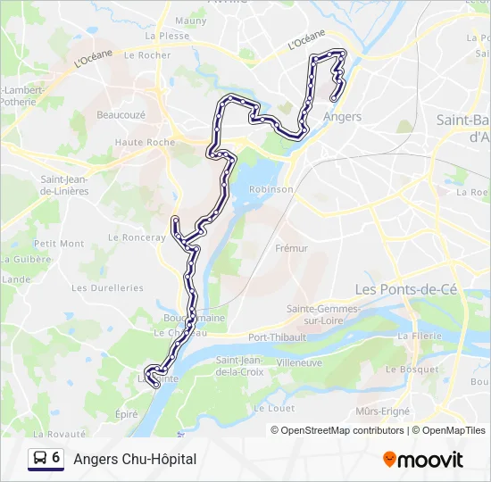 6 Bus Line Map