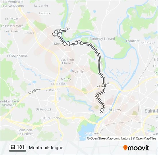 181 Bus Line Map