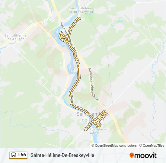 T66 Bus Line Map