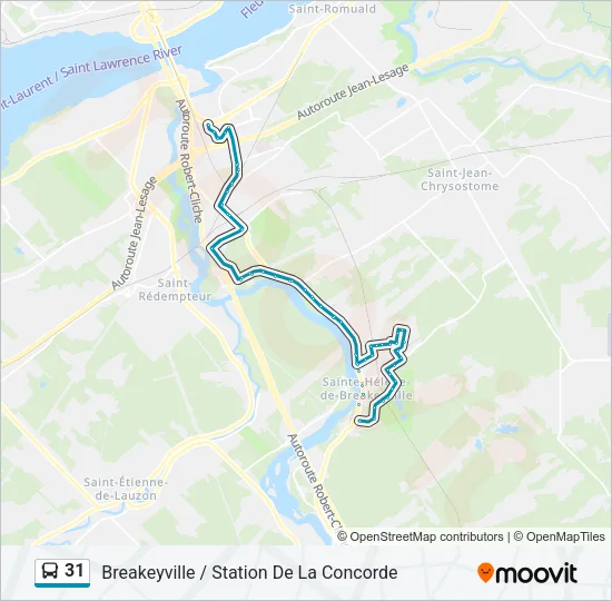31 Bus Line Map