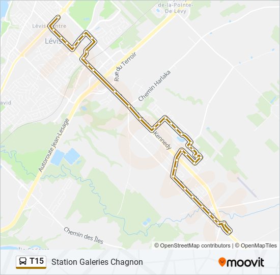 T15 bus Line Map