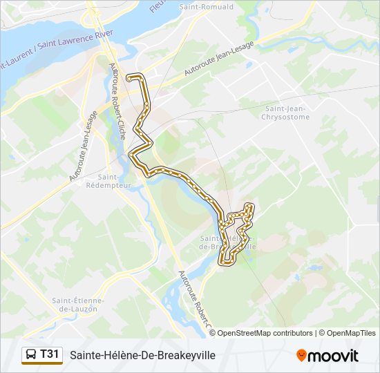 Plan de la ligne T31 de bus