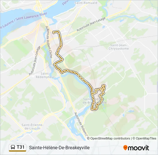 T31 Bus Line Map