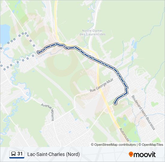 31 Bus Line Map