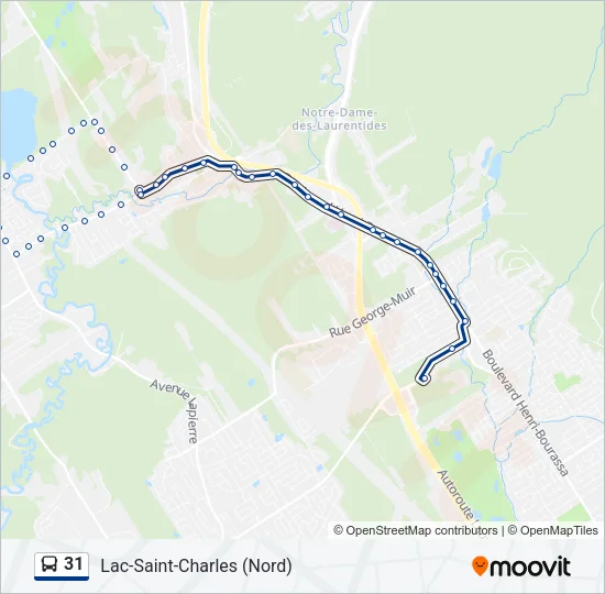 31 Bus Line Map