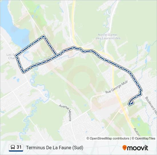 Plan de la ligne 31 de bus