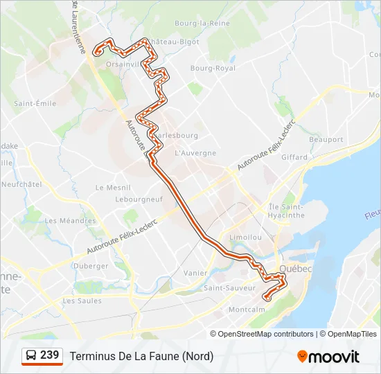 239 Bus Line Map