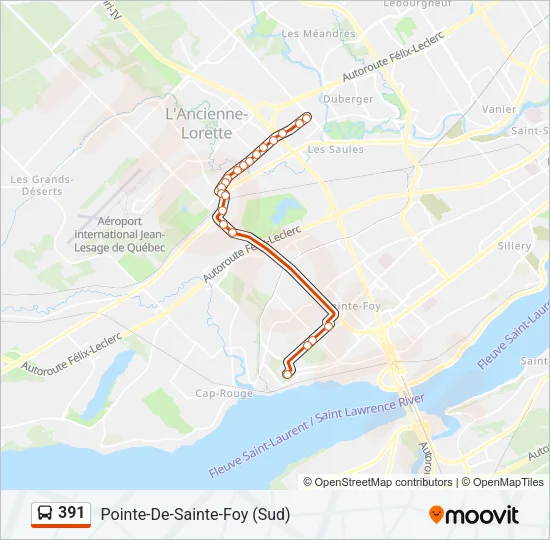 391 Bus Line Map