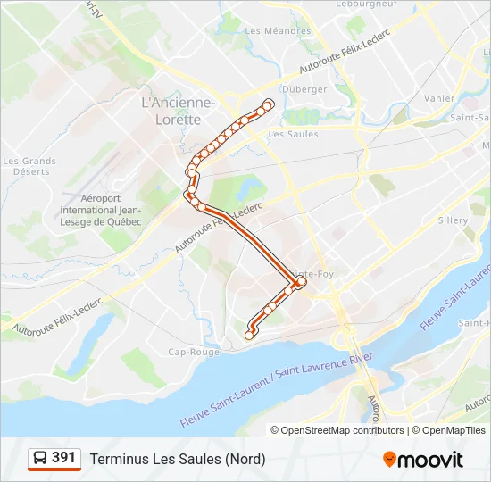 391 Bus Line Map