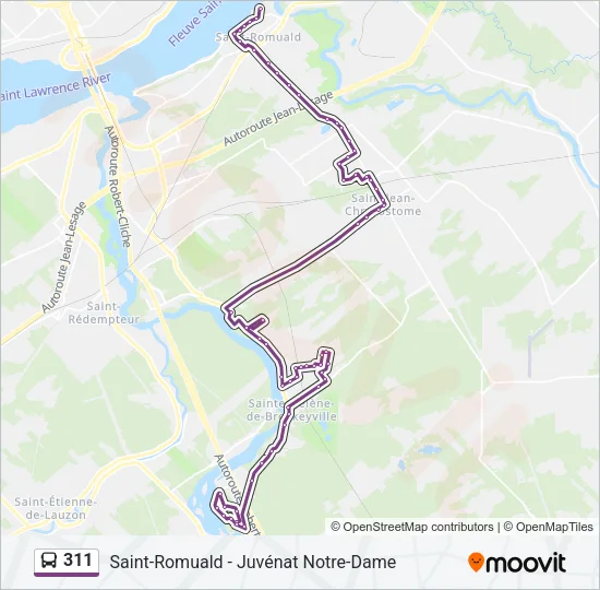311 Bus Line Map