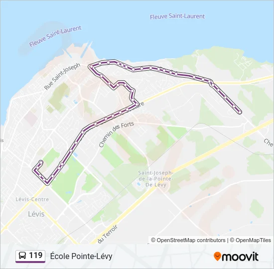 119 Bus Line Map