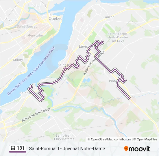 131 Bus Line Map