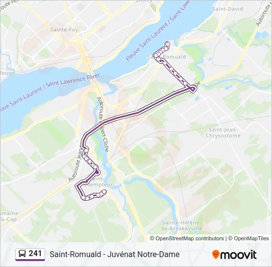 241 Bus Line Map