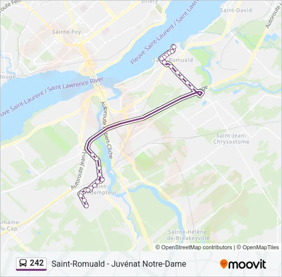 242 Bus Line Map