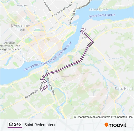 246 Bus Line Map