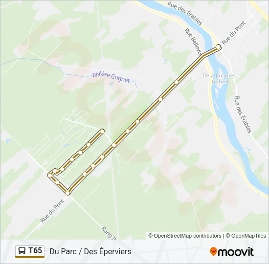 T65 Bus Line Map
