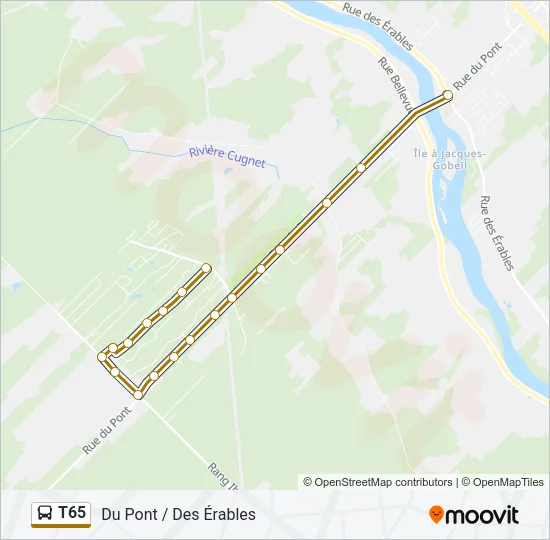 T65 Bus Line Map