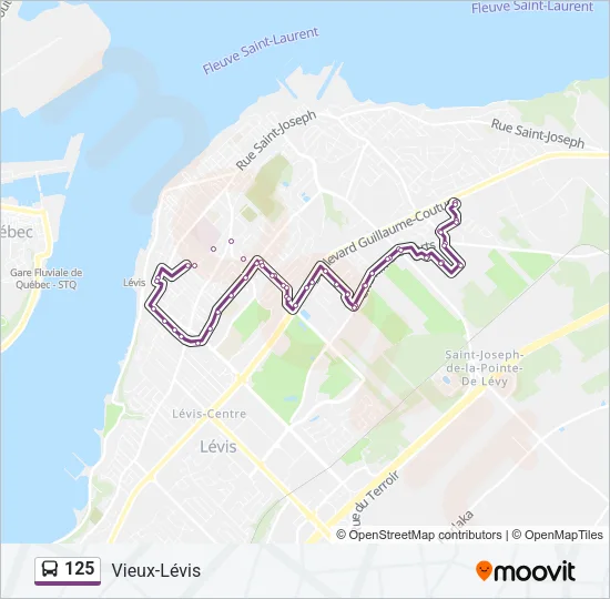 125 Bus Line Map