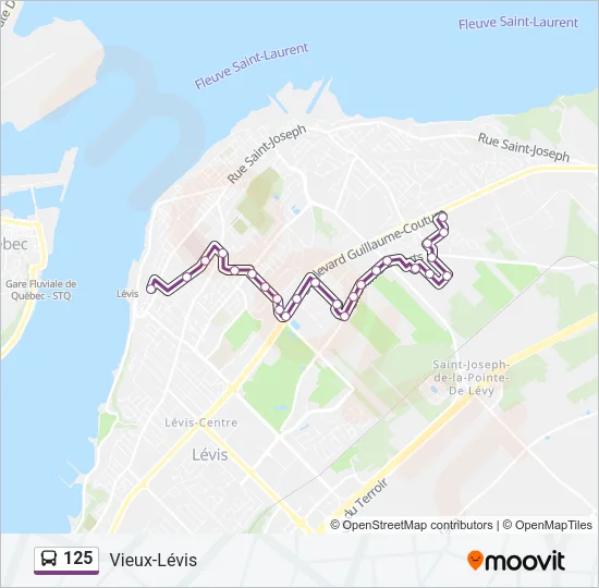 125 Bus Line Map