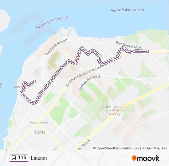 115 Bus Line Map