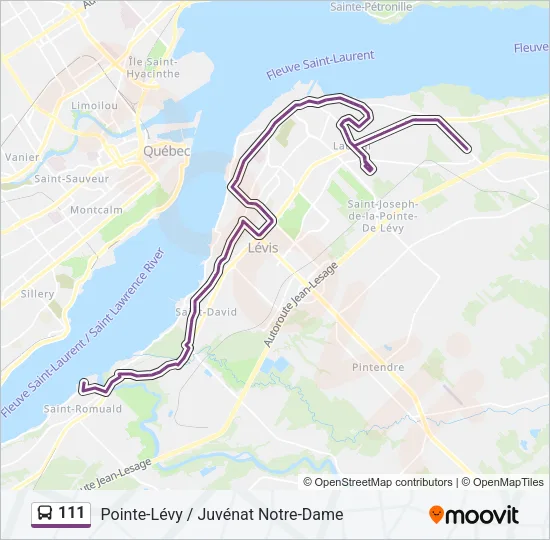 111 Bus Line Map