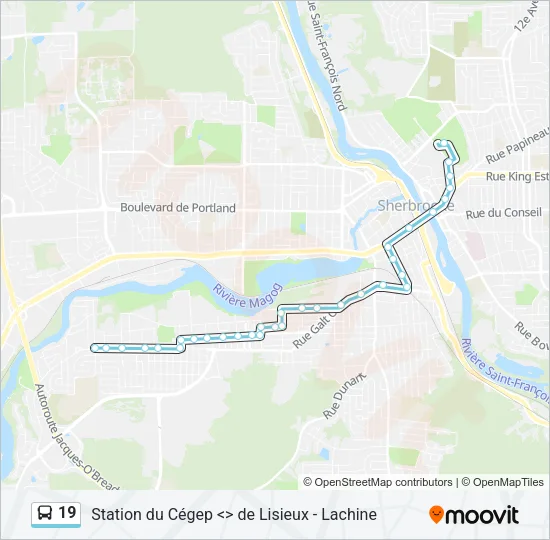 19 Bus Line Map