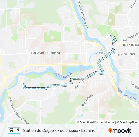 19 Bus Line Map
